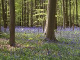 Hyacintenjogging 2016 - 083.jpg